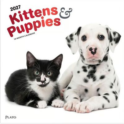 Kittens And Puppies 2027 Wall Calendar