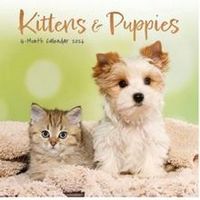 Kittens and Puppies 2026 Mini Wall Calendar