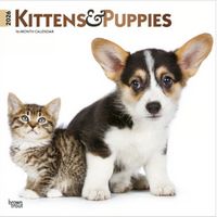 Puppies and Kittens 2026 Calendar