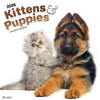 Puppies and Kittens 2026 Calendar
