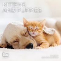Puppies and Kittens 2026 Calendar