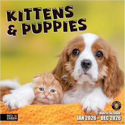 Puppies and Kittens 2026 Calendar