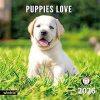 Puppies Love 2026 Calendar