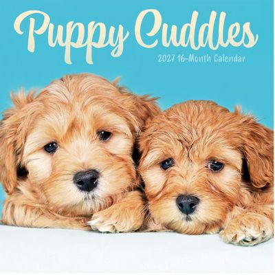 Puppy Cuddles 2027 Wall Calendar