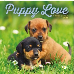Puppy Love 2026 Wall Calendar