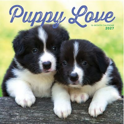 Puppy Love 2027 Wall Calendar