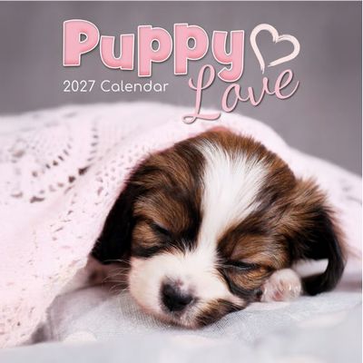 Puppy Love 2027 Wall Calendar