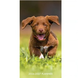 Puppy Love 2 Year Pocket 2026 Planner