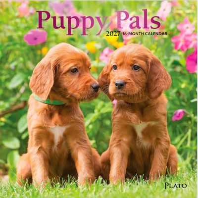 Puppy Pals 2027 Mini Wall Calendar