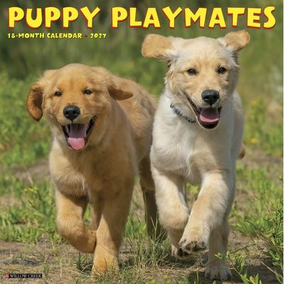 Puppy Playmates 2027 Wall Calendar