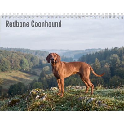 Redbone Coonhounds 2027 Wall Calendar