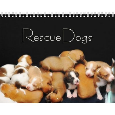 Rescue Dogs 2027 Calendar