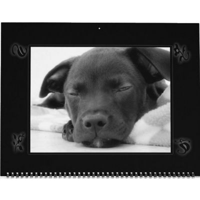 Rescue Dogs 2027 Calendar
