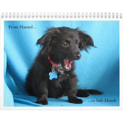 From Hazard to Safe Hands Calendar