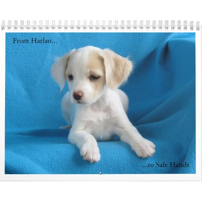 From Harlan to Safe Hands Calendar