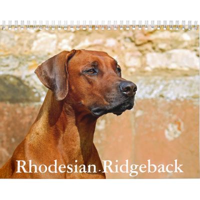 Rhodesian Ridgebacks 2027 Wall Calendar