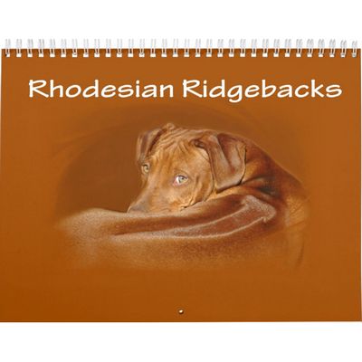 Rhodesian Ridgebacks 2027 Wall Calendar
