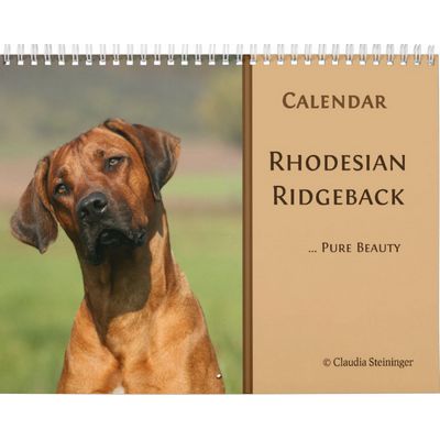 Rhodesian Ridgebacks 2027 Wall Calendar