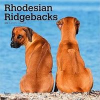 Rhodesian Ridgebacks 2026 Wall Calendar