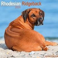 Rhodesian Ridgeback 2026 Wall Calendar