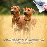 Rhodesian Ridgeback 2026 Wall Calendar