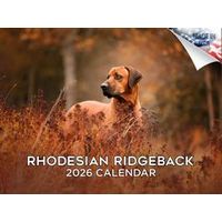 Rhodesian Ridgeback 2026 Wall Calendar