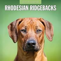Rhodesian Ridgeback 2026 Wall Calendar