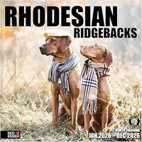 Rhodesian Ridgeback 2026 Wall Calendar