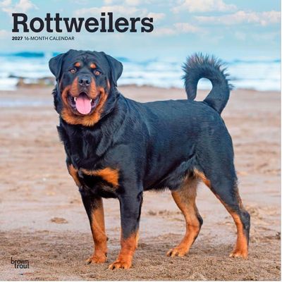 Rottweilers 2027 Wall Calendar