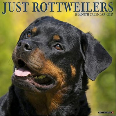 Just Rottweilers 2027 Calendar