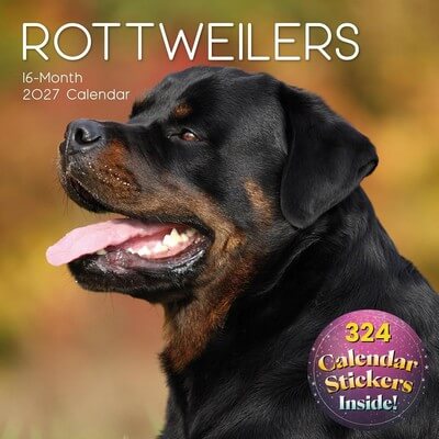 Rottweilers 2027 Calendar
