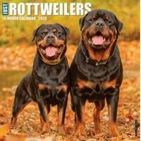 Rottweilers 2026 Calendar