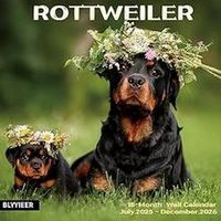 Rottweiler 2025 Calendar 2026