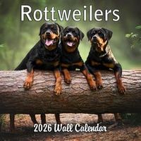 Rottweilers 2026 Wall Calendar