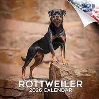 Rottweilers 2026 Wall Calendar