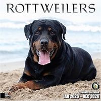 Rottweilers 2026 Wall Calendar