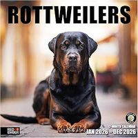 Rottweilers 2026 Wall Calendar