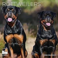 Rottweilers 2026 Wall Calendar