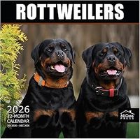 Rottweilers 2026 Wall Calendar
