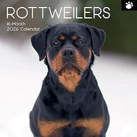 Rottweilers 2026 Wall Calendar