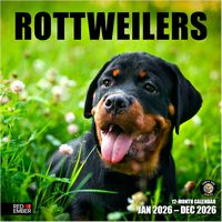 Rottweilers 2026 Wall Calendar