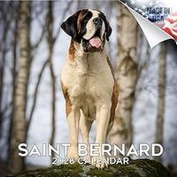 Saint Bernards 2026 Calendar