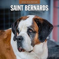 Saint Bernards 2026 Calendar