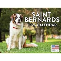 Saint Bernards 2026 Calendar