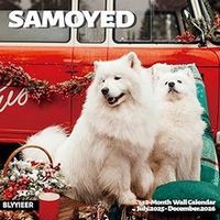 Samoyeds 2026 Calendar