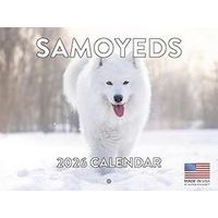 Samoyeds 2026 Calendar