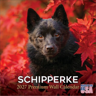 Schipperke 2027 Calendar