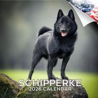 Schipperke 2026 Calendar