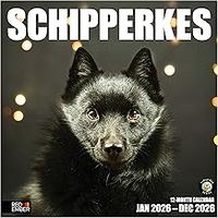 Schipperke 2026 Calendar