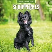 Schipperke 2026 Calendar